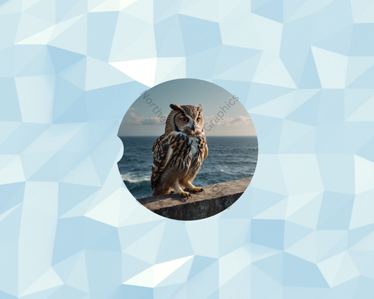 Coastal Vigilant Owl Car Coaster