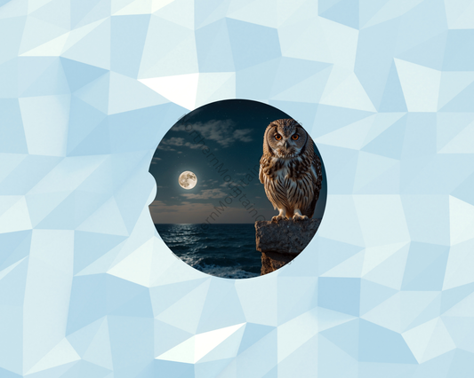 Seaside Moon Owl Car Coaster