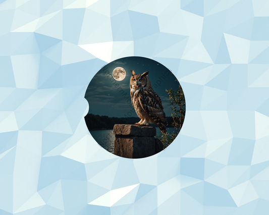 Moonlit Owl Stone Sentinel Car Coaster