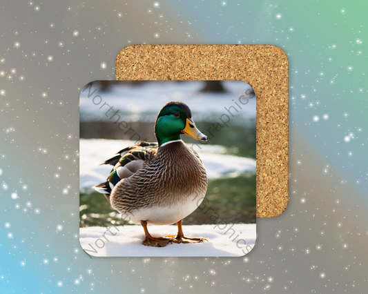 Mallard Duck in Snow Winter Square Coaster