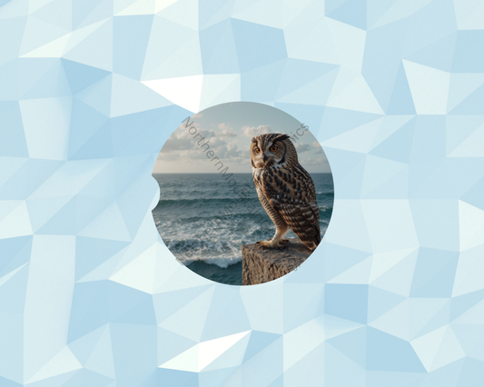 Coastal Day Owl Watcher Car Coaster