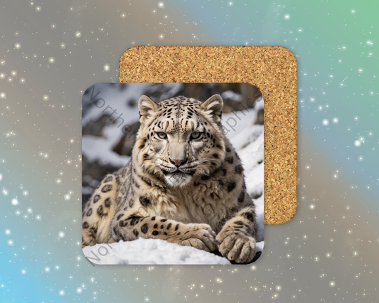 Majestic Snow Leopard Resting Winter Square Coaster