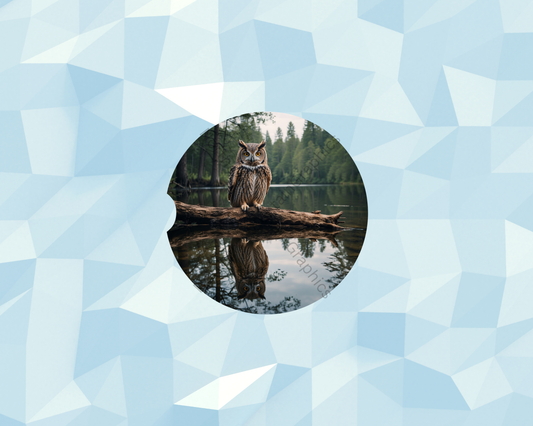 Forest Owl Lake Sentinel Car Coaster
