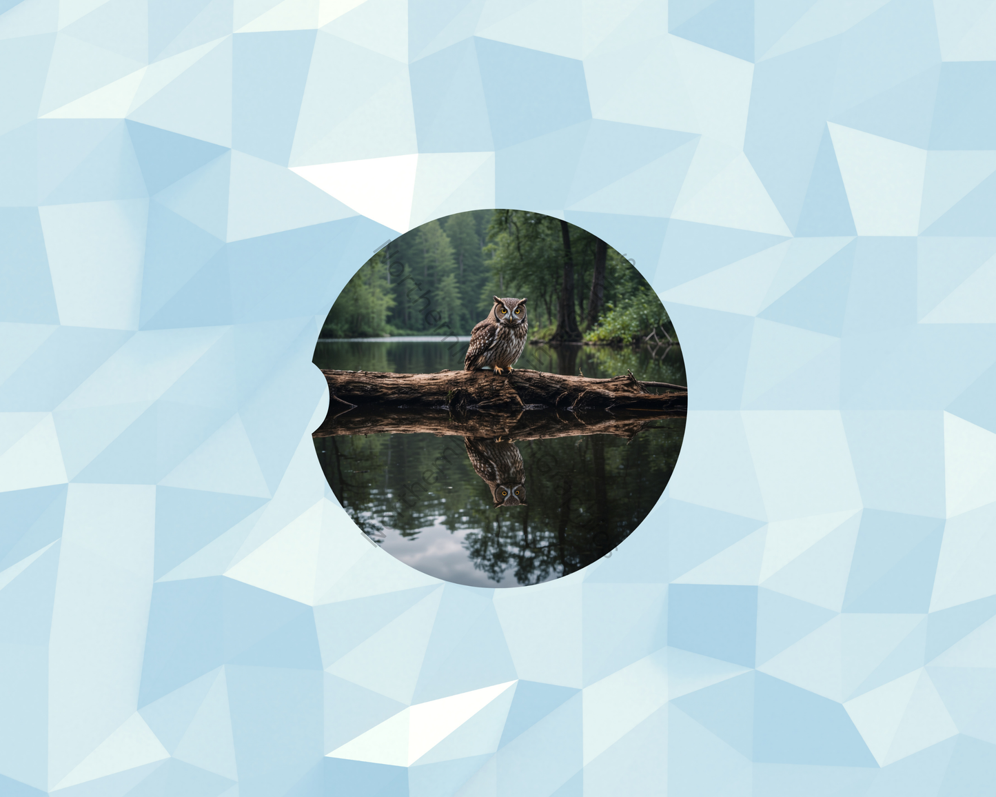 Reflection Woodland Owl Car Coaster