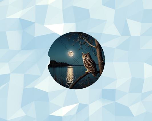 Lakeside Moon Owl Watcher Car Coaster