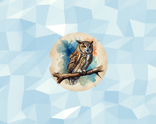 Owl on Painted Branch Car Coaster