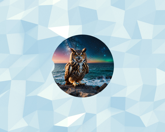 Galactic Coastal Owl Car Coaster