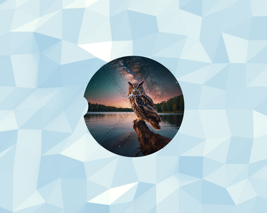 Cosmic Lakeside Owl Watcher Car Coaster