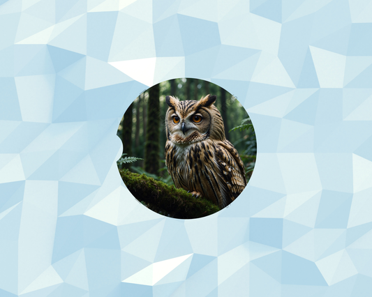 Forest Moss Owl Car Coaster