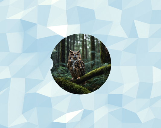 Woodland Moss Owl Car Coaster