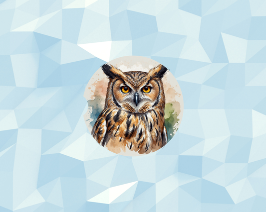 Amber-Eyed Forest Owl Car Coaster