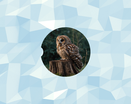 Forest Stump Owl Car Coaster