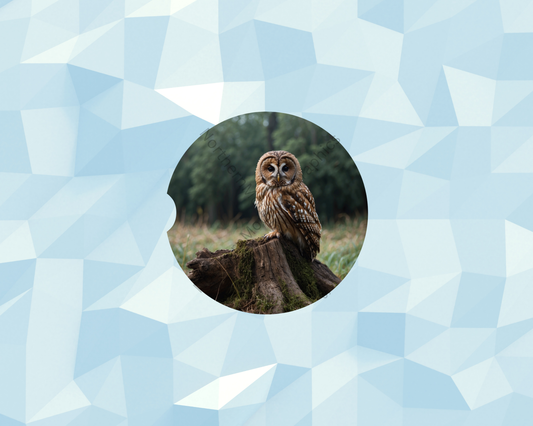 Mossy Woodland Owl Car Coaster