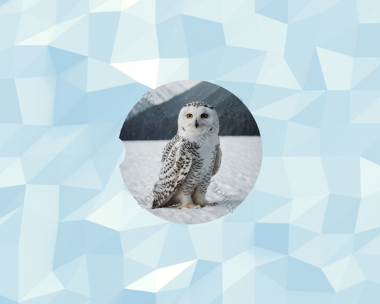 Frosted Mountain Owl Car Coaster