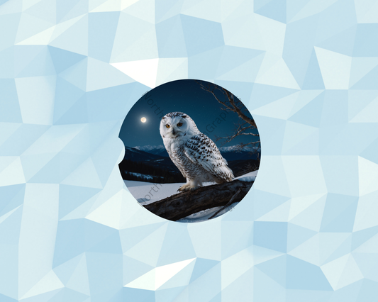 Winter Moon Owl Car Coaster