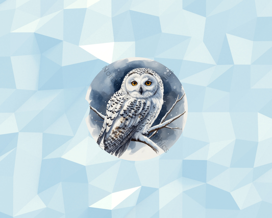 Snowy Owl Nightfall Car Coaster