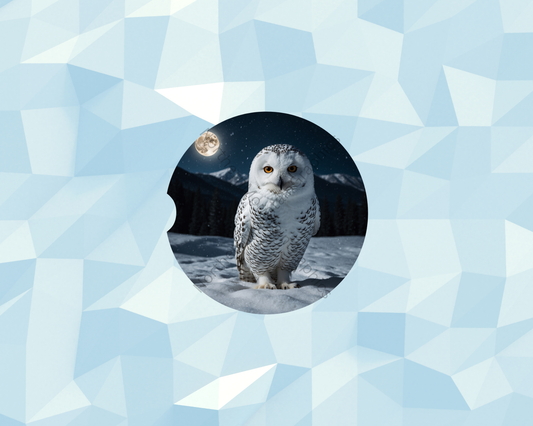 Snowy Night Owl Car Coaster