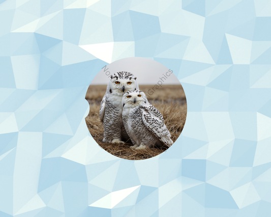 Winter Owl Car Coaster