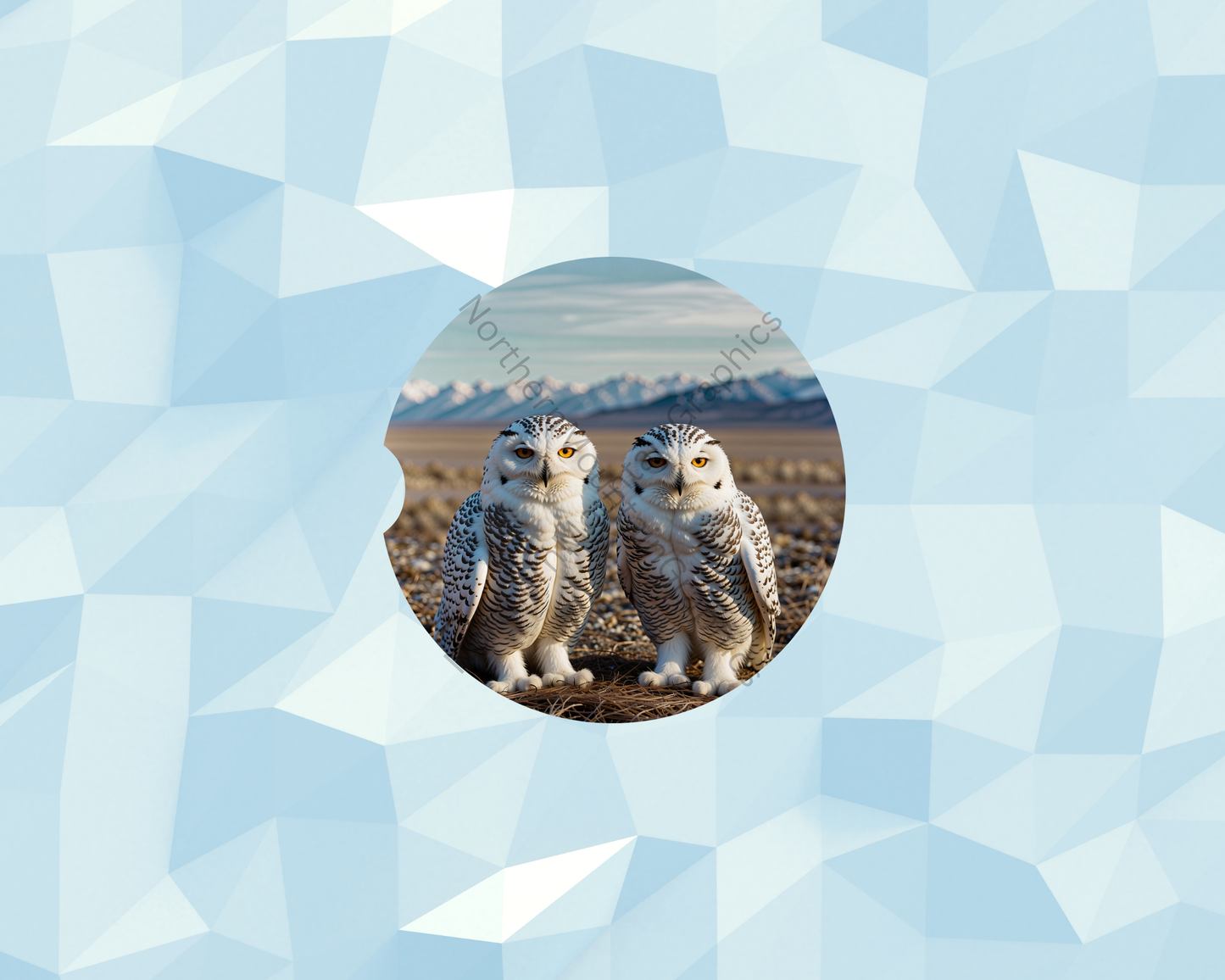 Twin Arctic Owl Watchers Car Coaster