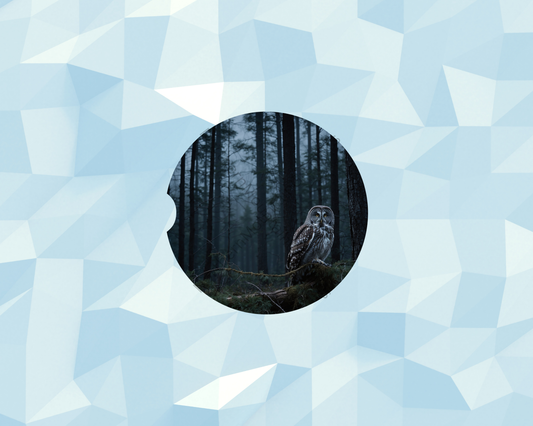 Misty Forest Owl Car Coaster