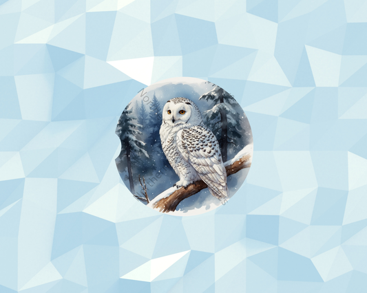 Snowy Owl in Pines Car Coaster