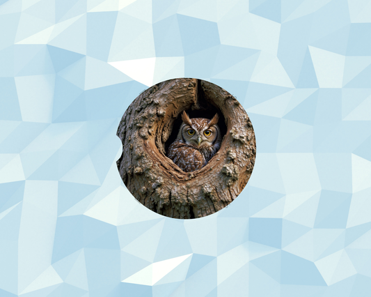 Hollow Tree Owl Car Coaster