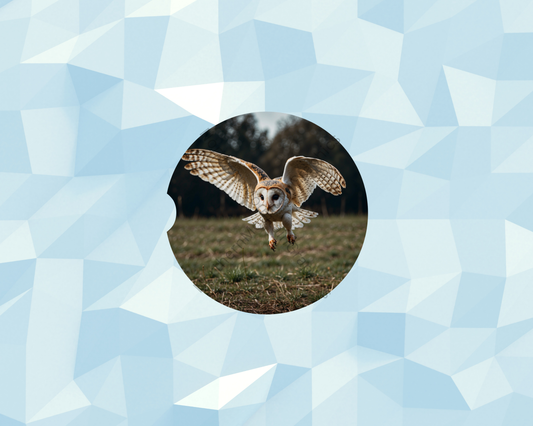 Golden Barn Owl Car Coaster