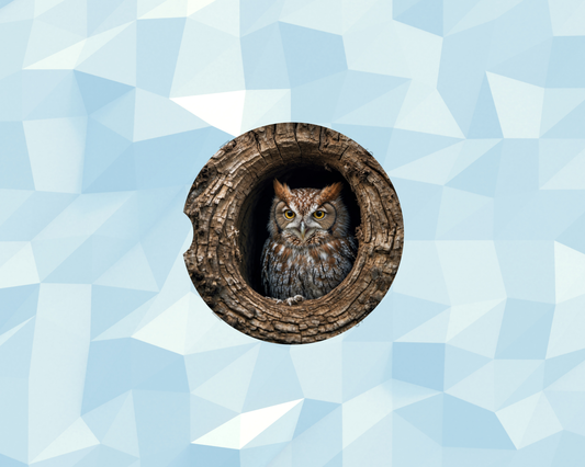 Hollow Tree Guardian Owl Car Coaster