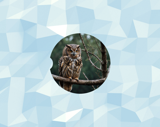 Forest Branch Owl Car Coaster
