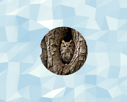 Tree Crevice Owl Car Coaster