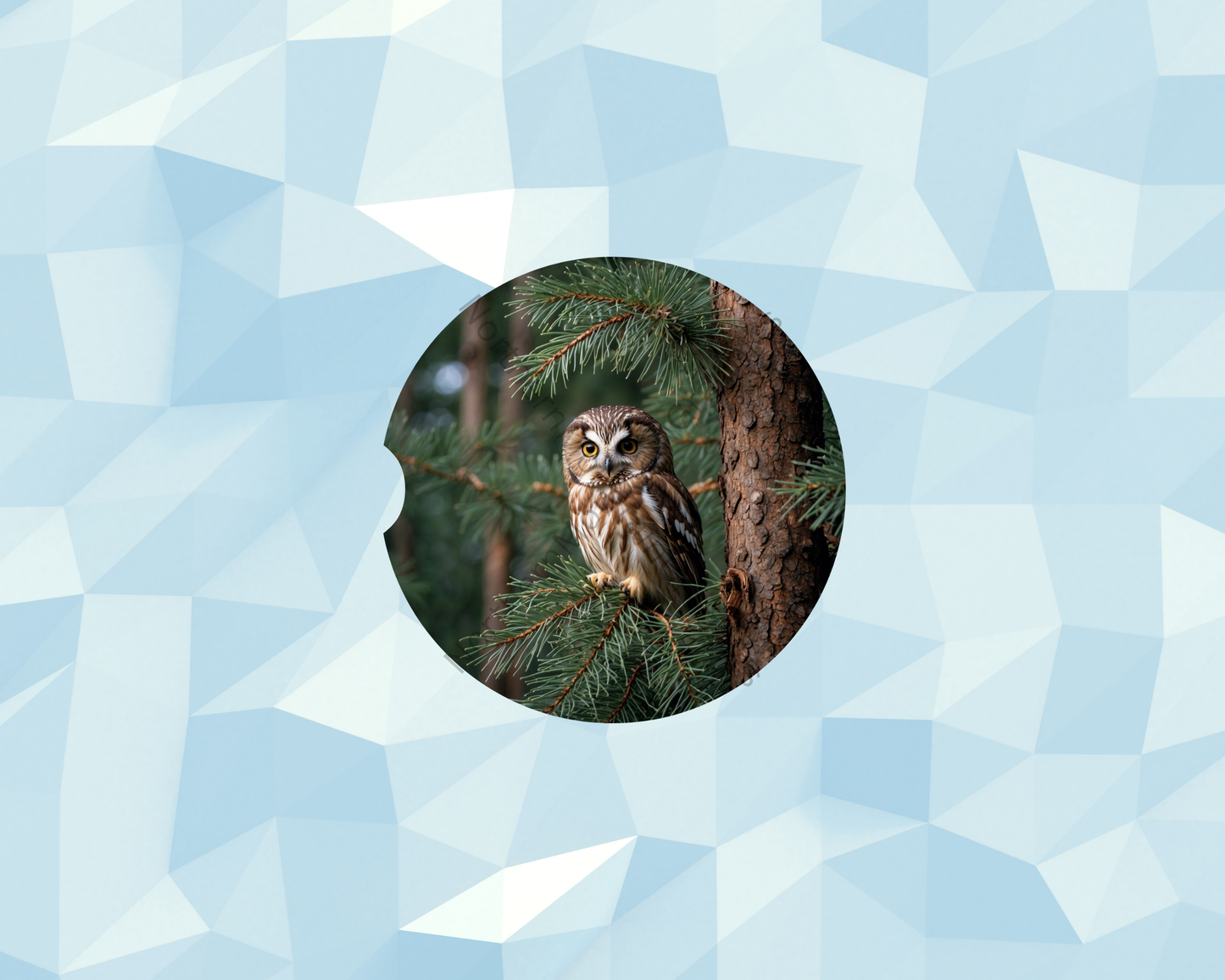 Pinewood Perched Owl Car Coaster