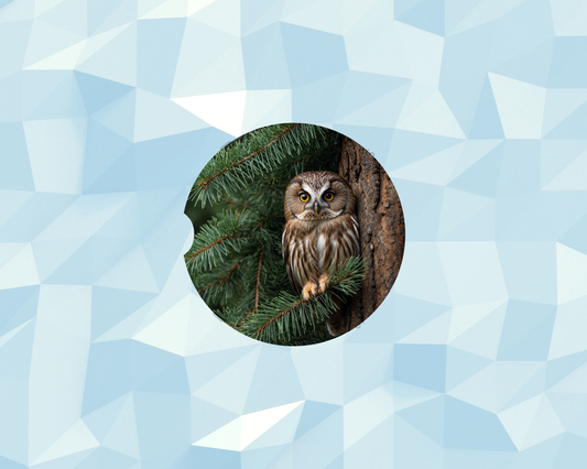Evergreen Forest Owl Watcher Car Coaster
