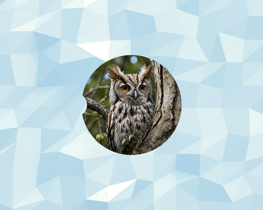 Woodland Horned Owl Car Coaster