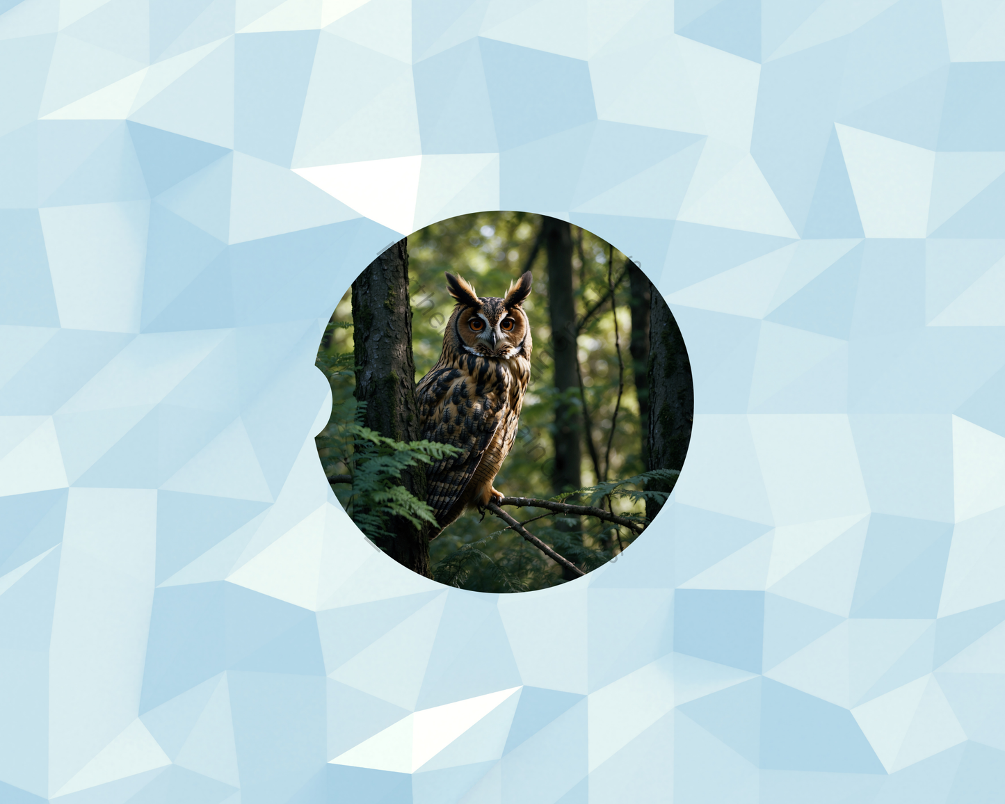 Forest Sentinel Stare Owl Car Coaster