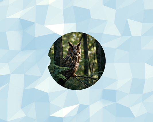 Forest Sentinel Stare Owl Car Coaster
