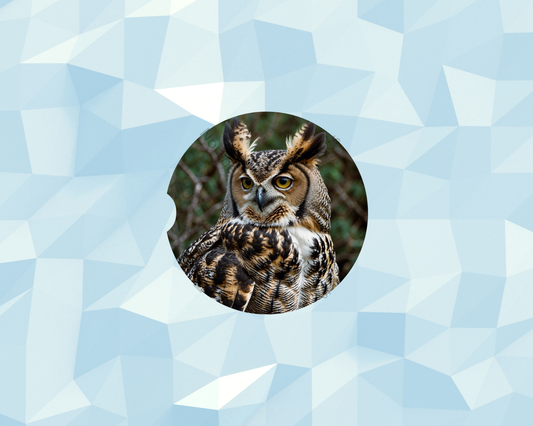 Golden Gaze Closeup Owl Car Coaster