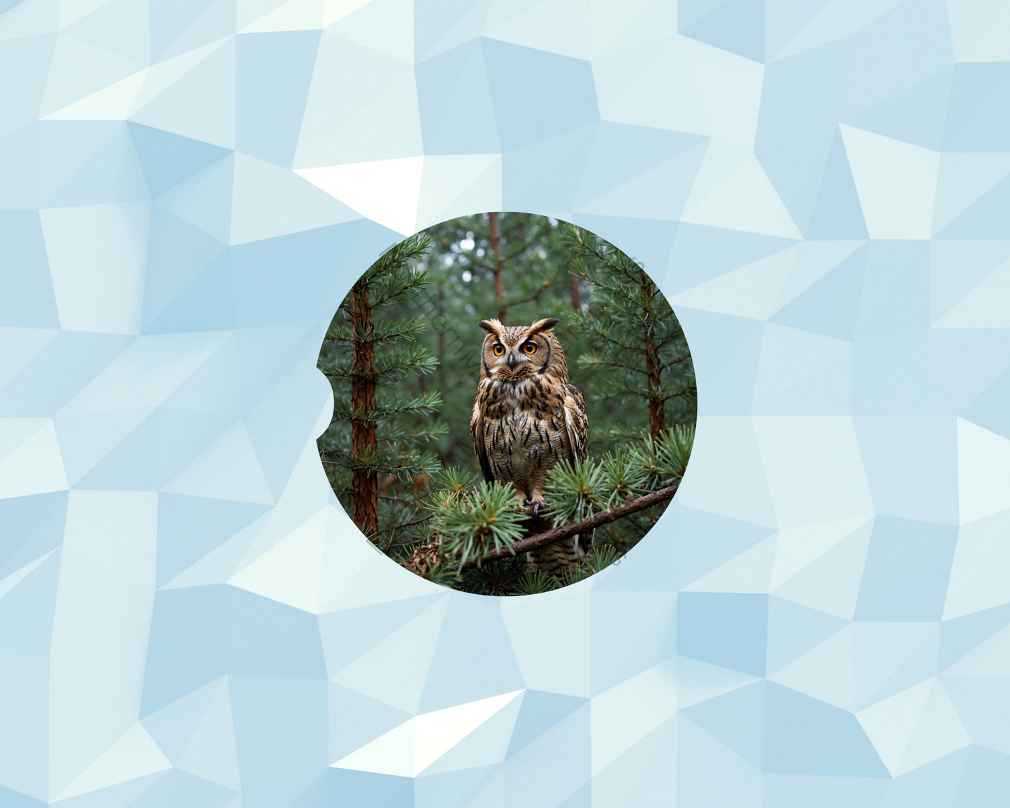 Pinewood Night Owl Watcher Car Coaster