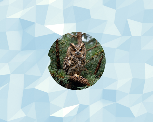 Evergreen Perched Owl Car Coaster