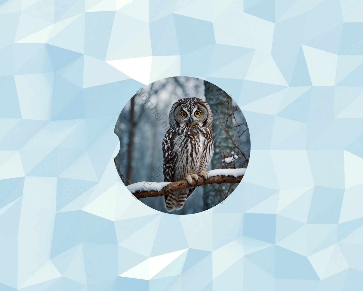 Snowy Woodland Owl Watcher Car Coaster
