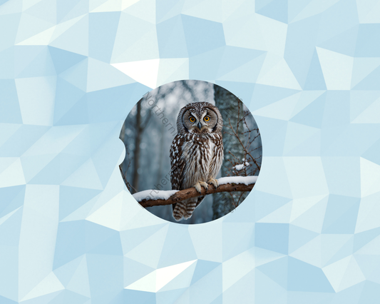 Snowy Woodland Owl Watcher Car Coaster