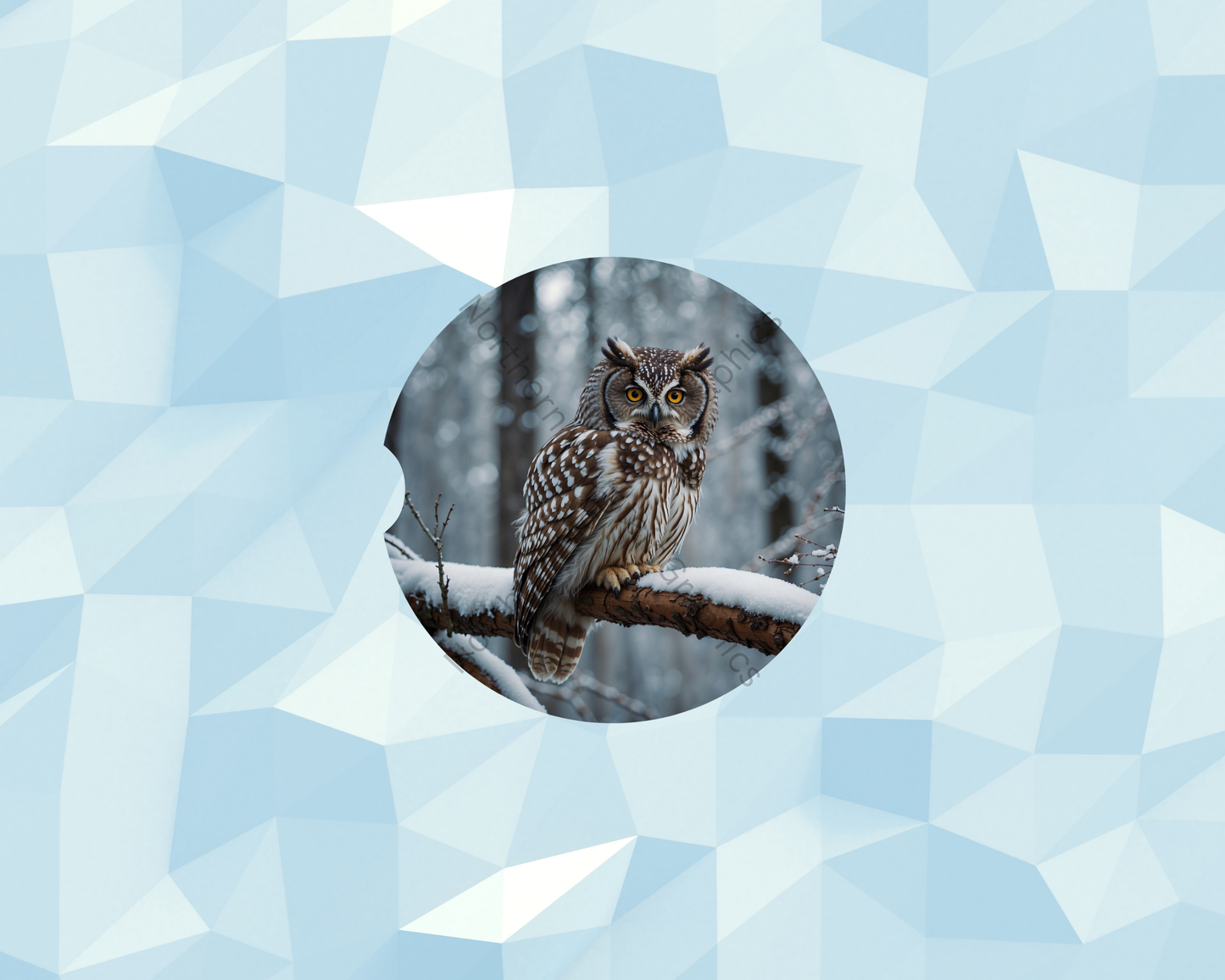 Frosted Forest Owl Car Coaster