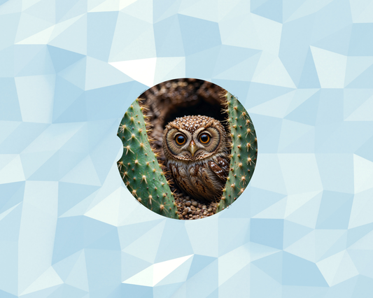 Cactus Hollow Owl Car Coaster
