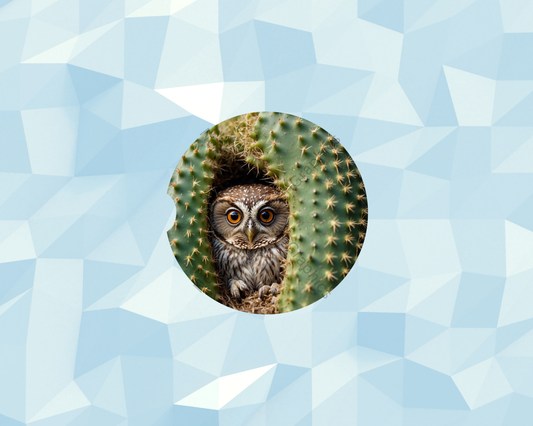 Cactus Hollow Peek Owl Car Coaster