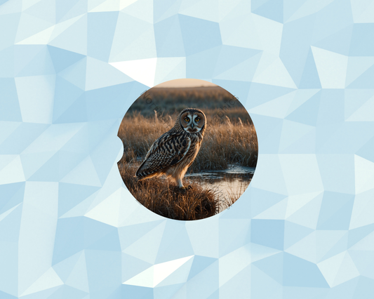 Marshland Sunset Owl Watcher Car Coaster
