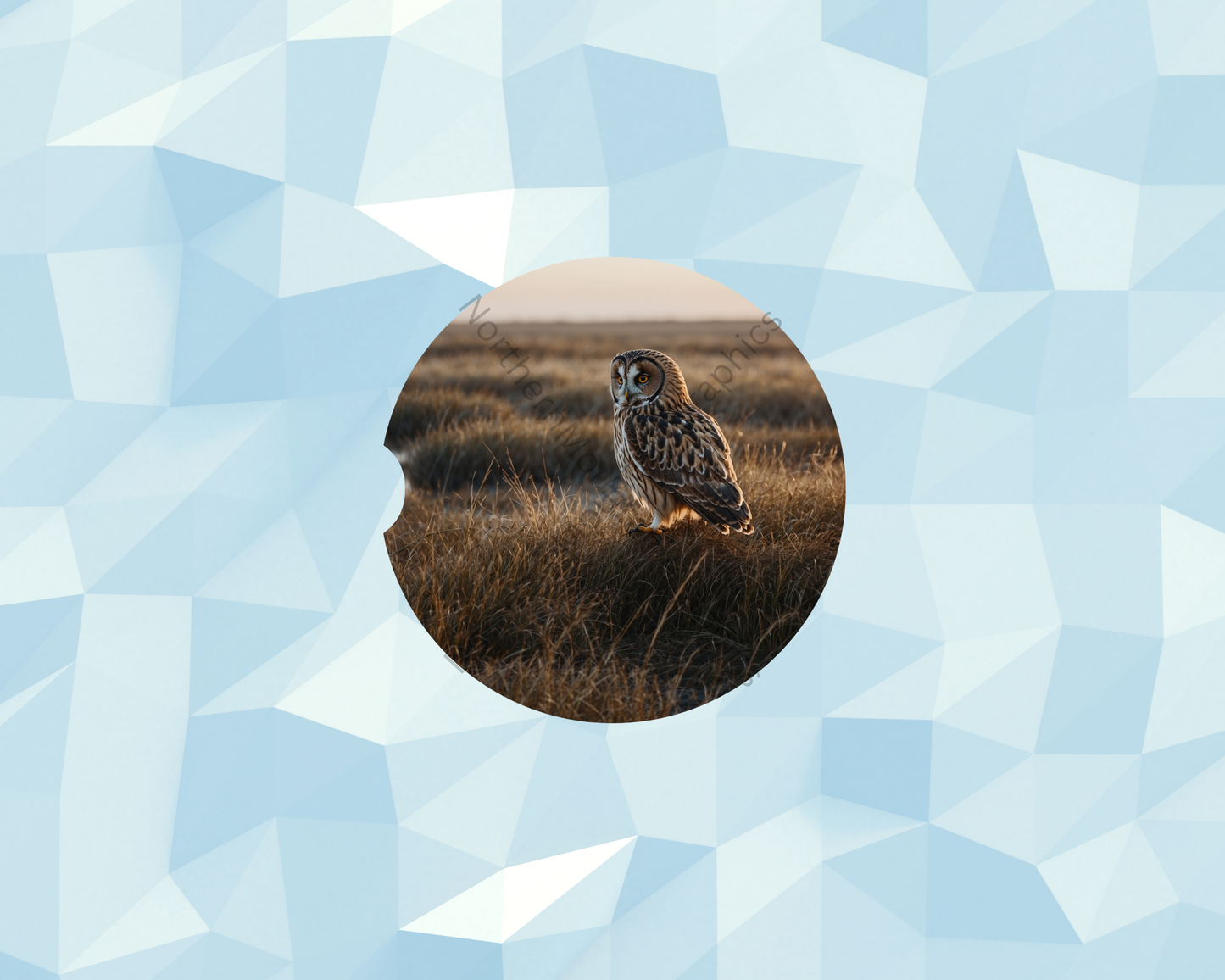 Golden Meadow Owl Car Coaster