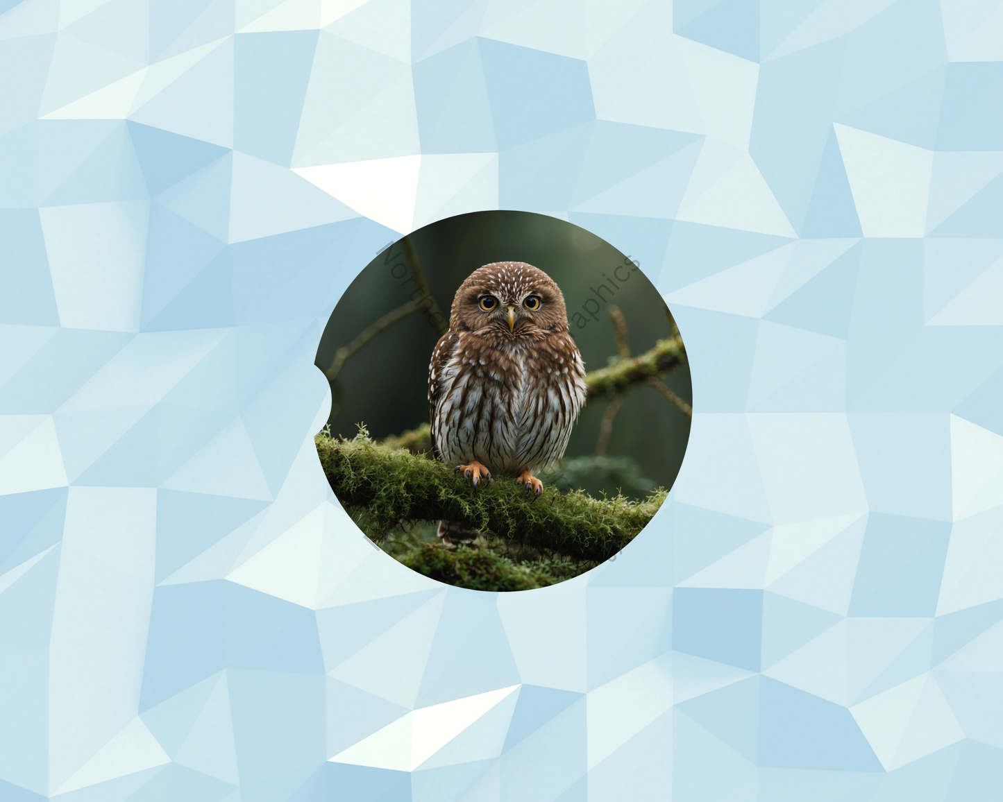 Mossy Branch Owl Car Coaster