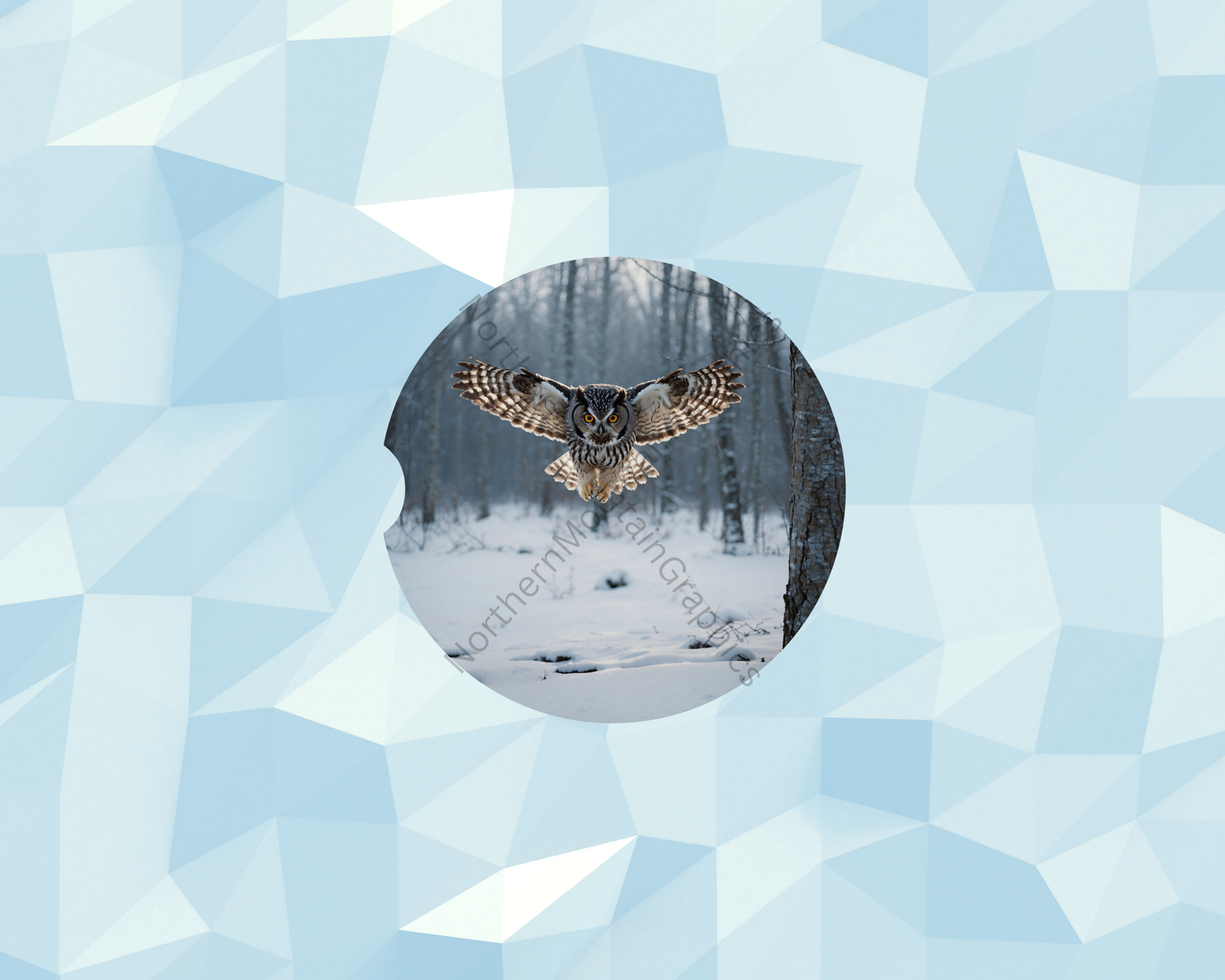 Winter Flight Focus Owl Car Coaster