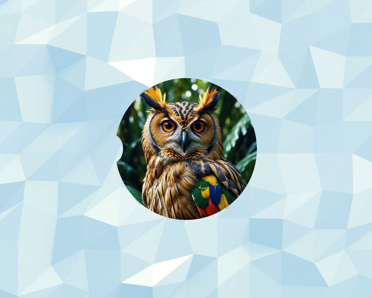 Rainbow Plumage Owl Car Coaster