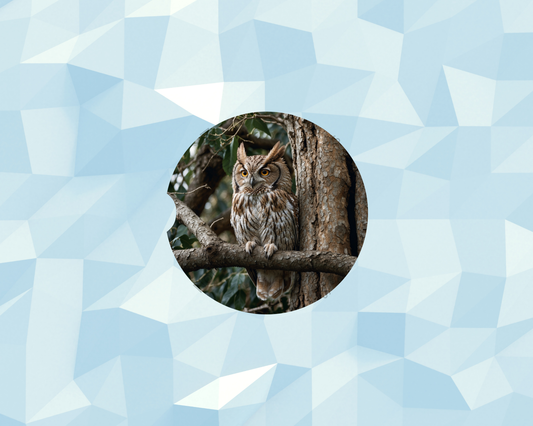 Realistic Forest Owl Car Coaster